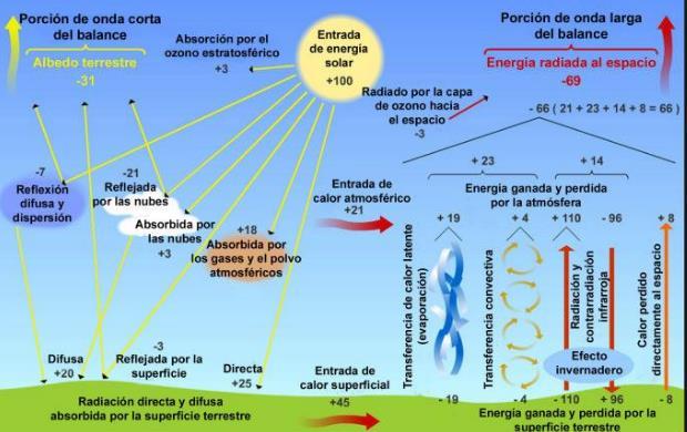 FOTOSSÍNTESE: utiliza