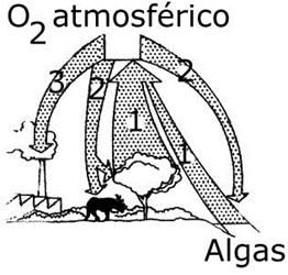 ) Pela análise da figura, pode-se concluir que a quantidade de água que evapora por ano da superfície da Terra para a atmosfera... a quantidade precipitada. A energia.