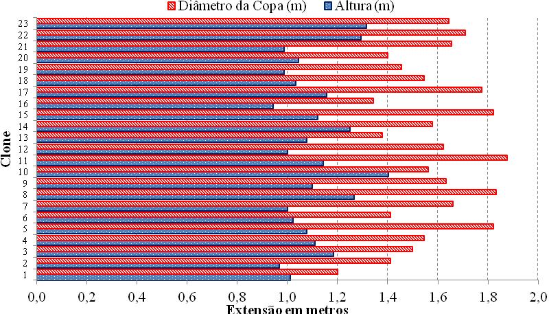 Silvanete Severino da Silva et al Figura 6.