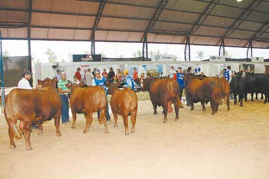 do certame, apontando os campeões machos e fêmeas no dia 10. Mais e melhores Cada vez mais os criadores estão atentos às orientações dos técnicos e dos jurados, buscando produzir melhores animais.