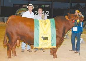 : C/Cria Peso: 853 Pai: SAV NET WORTH 4200 Mãe: NEGRITA 370 DA CORTICEIRA Criador: LUIZ ANSELMO CASSOL Expositor: ÉRICK EVANDRO DONATTO Estabelecimento: FAZENDA SANTA HELENA Cidade: SANTA ADELIA /SP