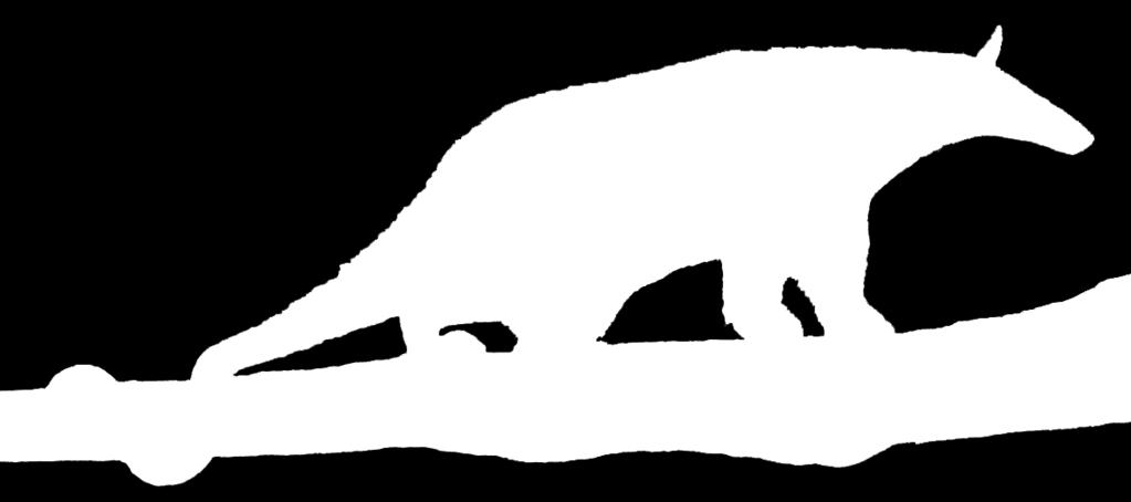 Avaliação da relação entre distância média diária percorrida, área de vida e disponibilidade de energia para tamanduás-bandeira (Myrmecophaga tridactyla) em savanas neotropicais.