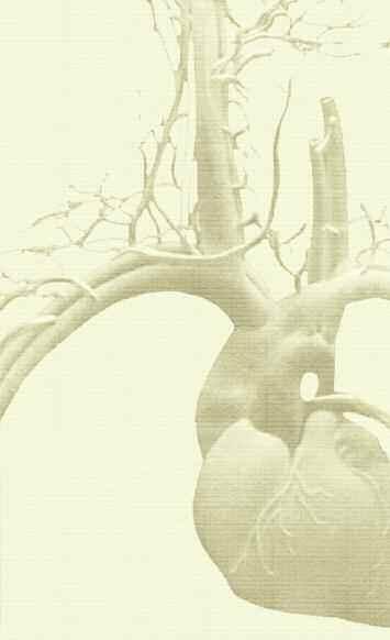 2 Aterosclerose, ataques cardíacos e acidentes vasculares cerebrais Recomendações de saúde celular do Dr.