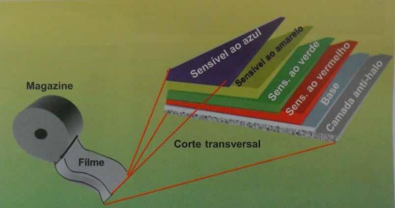 FILME COLORIDO NORMAL Um filme colorido apresenta sensibilidade