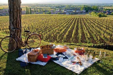 BORGONHA Beaune Capital dos vinhos da Borgonha e uma das mais charmosas cidades francesas vai encantar você através da sua arquitetura e sabores.