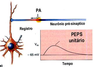 SOMAÇAO DE PEPS O