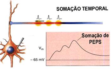 sinais elétricos na