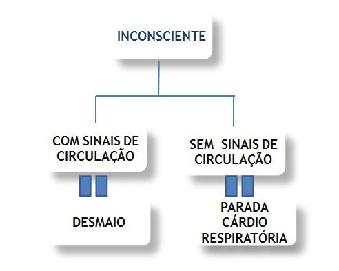 COMISSÁRIOS Quando há uma ocorrência médica a bordo... O que fazer?