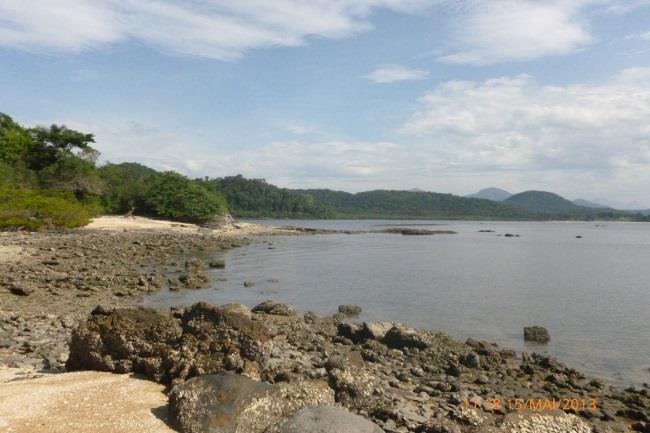 Pescaria e passeio à Ilha da Banana Atividade Pescaria com linha e vara, observação de lance de tarrafa e passeio pela Ilha da Banana.