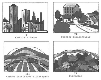 a) apresentam protocooperação. b) competem entre si. c) ocupam nichos ecológicos diferentes. d) ocupam diferentes habitats. e) apresentam parasitismo. 4. A Verdadeira Solidão.