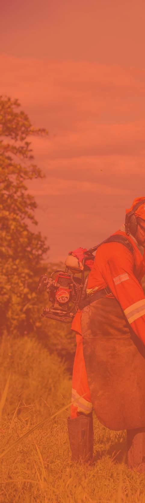 SAÚDE E SEGURANÇA A Triunfo tem como meta permanente assegurar condições de saúde e segurança no ambiente de trabalho.