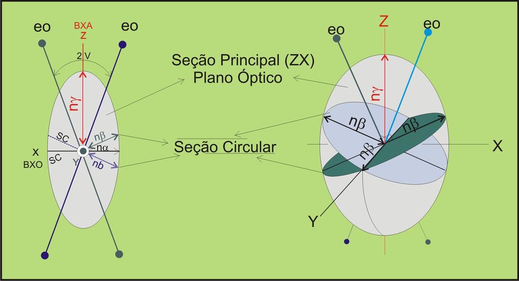 Minerais Biaxiais A indicatriz biaxial As indicatrizes anisotrópicas biaxiais, são representadas por elipsóides de