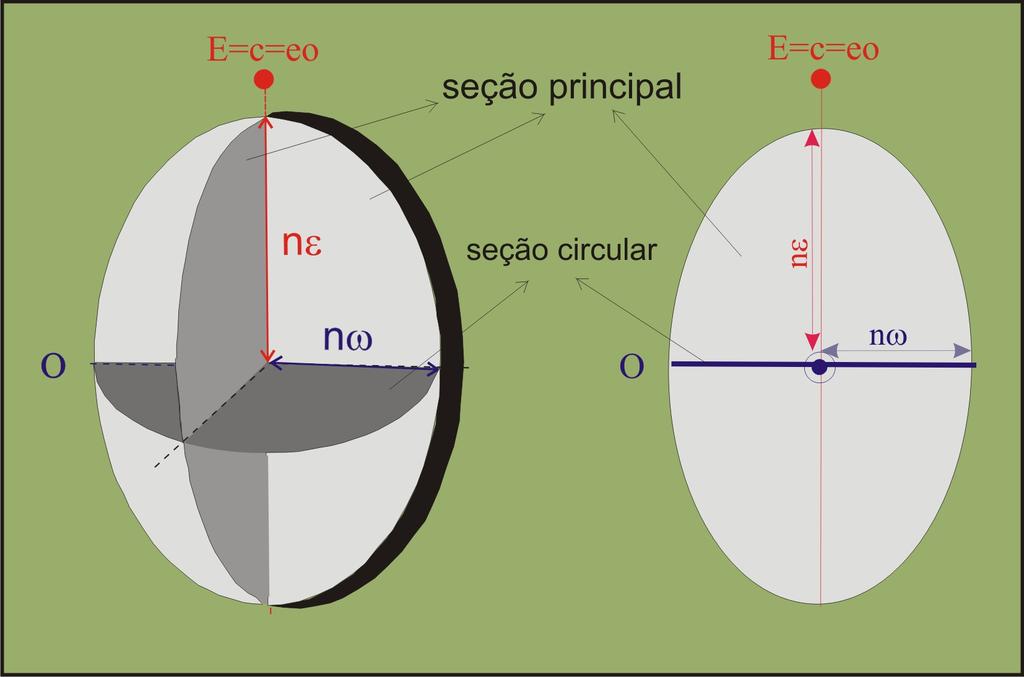 A Indicatriz Uniaxial C