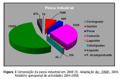 8520 representando camarão, 1725 pesca, alteração anos, USD1.650.