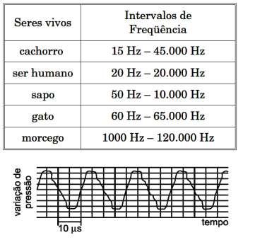 6. (FUVEST 2002) O som de um apito é analisado com o uso de um medidor que, em sua tela, visualiza o padrão apresentado na figura abaixo.