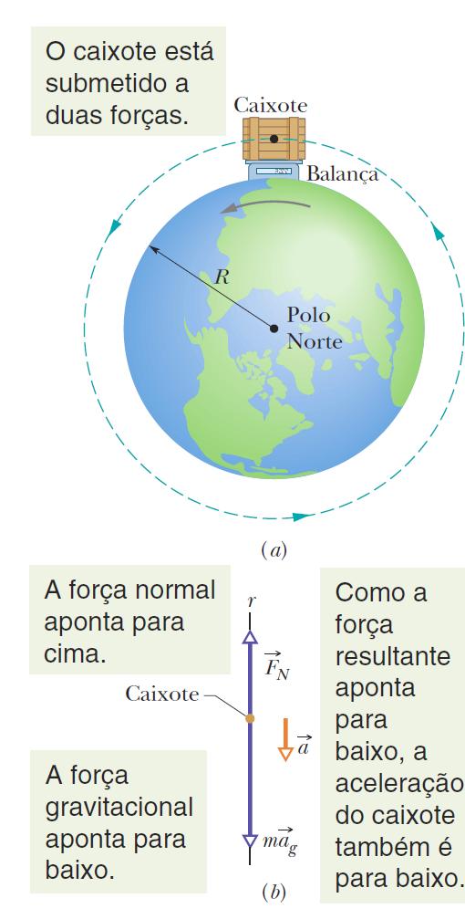 13.4 A Gravitação Perto da Superfície da Terra O valor de g medido em um ponto específico da superfície