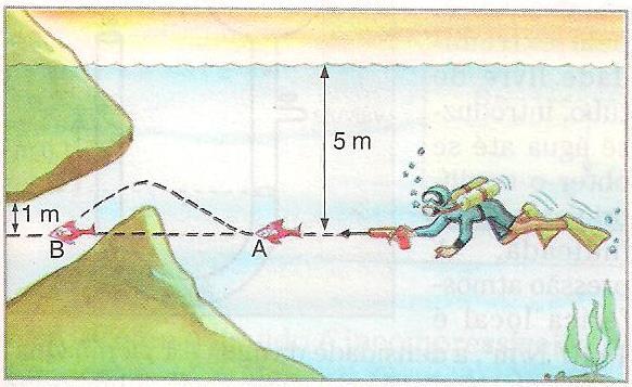 12. Um mergulhador persegue um peixe 5,0 m abaixo da superfície do lago. O peixe foge da posição A e se esconde em gruta na posição B, conforme mostra a figura.