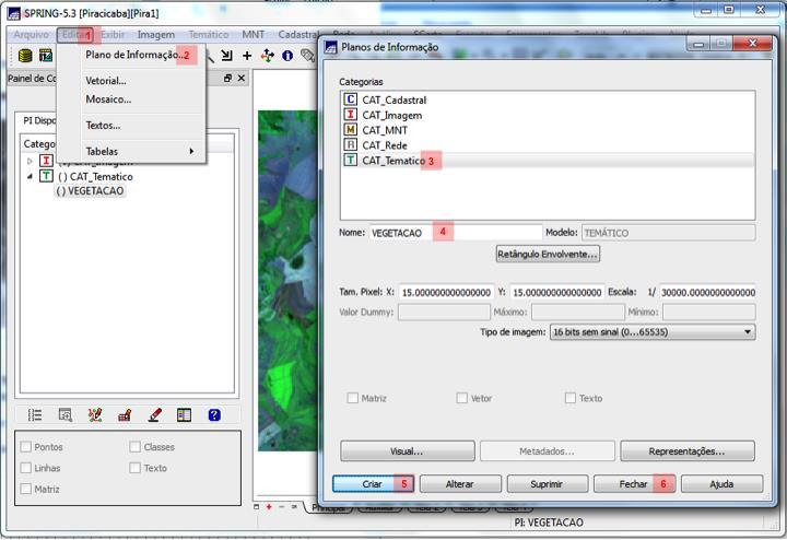 07. Criando um PI temático Clique em Editar>Plano de informação; Selecione a categoria CAT_Tematico; Digite um nome para o PI (ex.: Vegetação); Clique em Criar e depois em Fechar. 08.