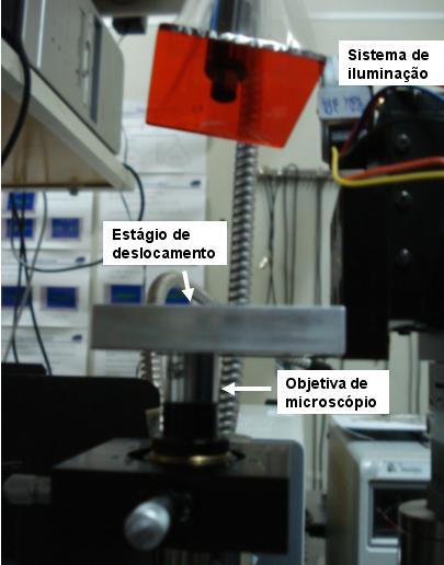 Aparato Experimental Usamos uma fonte de iluminação guiada por fibra óptica e com intensidade ajustável. Esta fonte é direcionada em sentido oposto à propagação do laser.