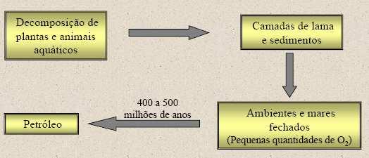 Origem do petróleo Como o petróleo foi formado?