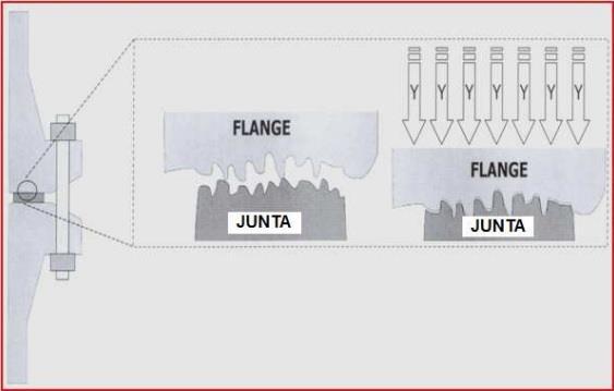 Figura 5: Esquema de junta de vedação preenchendo as irregularidades do flange. (Fonte: PEREIRA, 2016/Remosa Valves) 2.