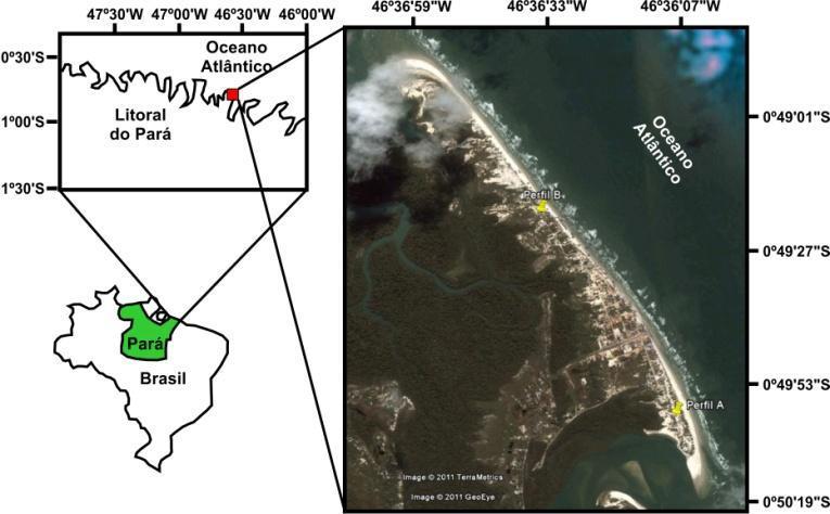 Figura 1 Mapa de localização da praia de Ajuruteua (Bragança-PA), Região Norte do Brasil. Os trabalhos de campo foram realizados no período entre Setembro/2003 a Março/2010.