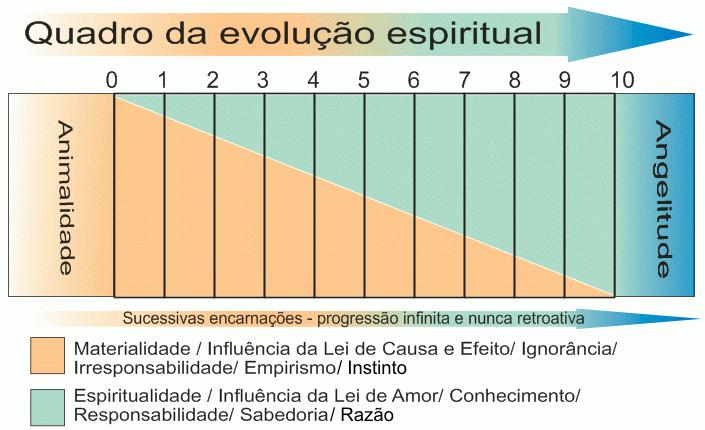 Quadro da evolução