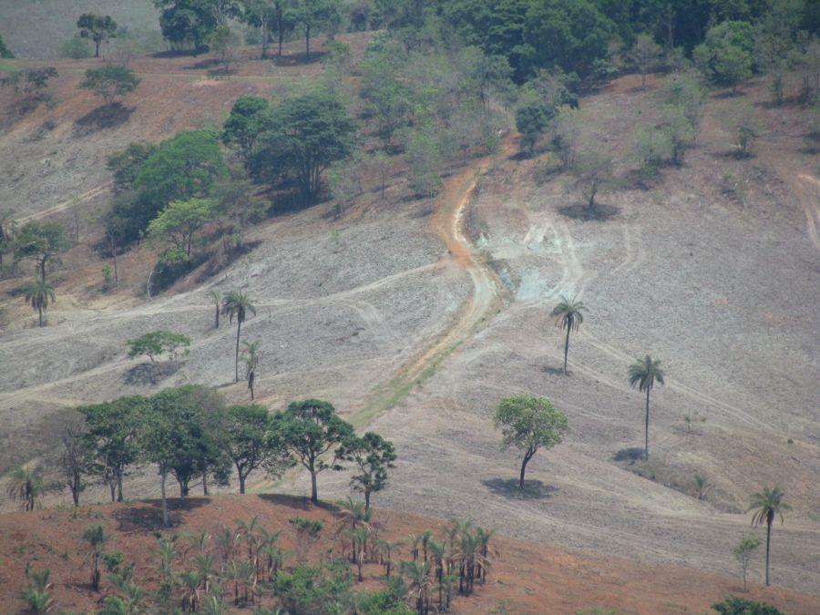 POTENCIAL DE FERTILIZANTES EM MINAS GERAIS