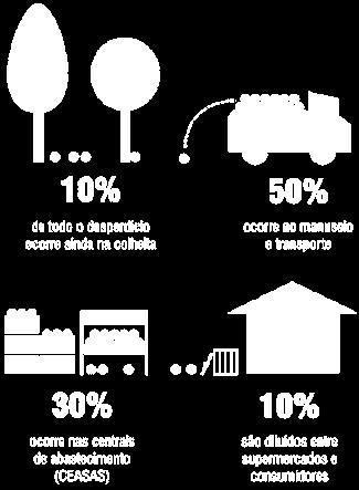 plantio à entrega de alimentos, coletando