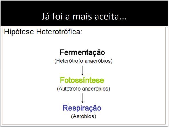 HIPÓTESE HETEROTRÓFICA Essas células pioneiras eram muito simples e ainda não dispunham de um equipamento enzimático capaz de