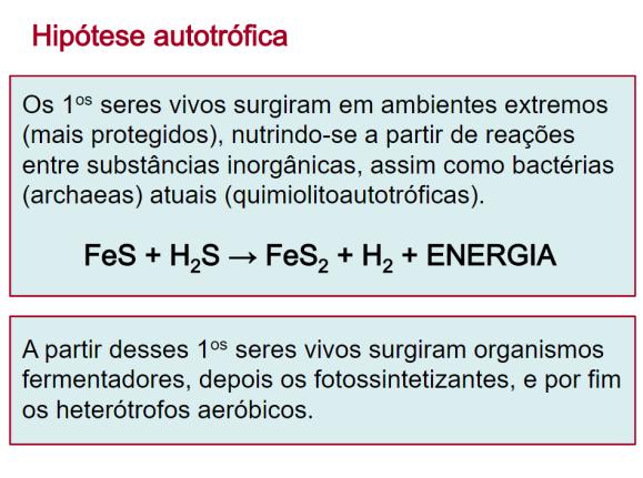 E isso permitiu o aparecimento dos seres de respiração aeróbia.