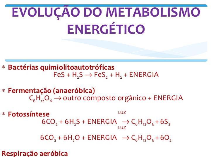 na digestão da celulose). Bactérias Halófilas extremas Estas bactérias habitam áreas aquáticas com elevada concentração de sal.