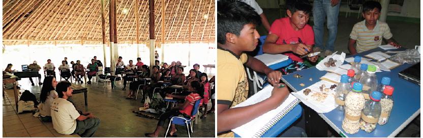 CARAVANA NA ETNORREGIÃO SERRA DA LUA No dia 7 de maio na comunidade Malacacheta (TI Malacacheta), a Escola Estadual Indígena Sizenando Diniz sediou a caravana da região Serra da Lua, sendo que apenas