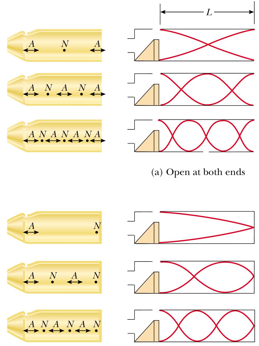 Fontes Sonoras: Colunas de Ar Primeiro harmônico Segundo harmônico Tubo aberto em ambos extremos u x Terceiro