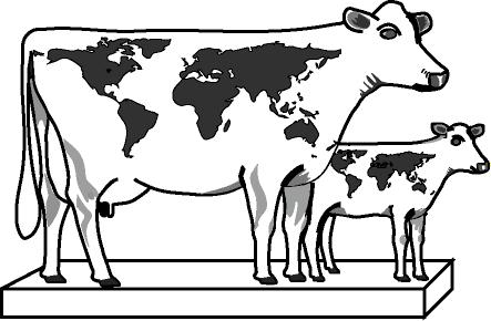 Instituto Babcock para Pesquisa e Desenvolvimento da Pecuária Leiteira Internacional University of Wisconsin-Madison Essenciais em Gado de Leite CRIAÇÃO DE NOVILHAS DESMAMA AO PRIMEIRO PARTO 34) TAXA