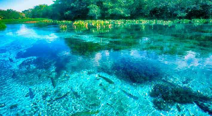 A imponência natural da Chapada dos Guimarães justificou a criação, em 1989, do parque nacional que leva seu nome.