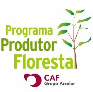 CAF SANTA BÁRBARA B LTDA. >>>>> empresa florestal da Belgo PLANTIO ANUAL: 10.000 hectares em áreas próprias; 5.000 hectares PPF; PRODUÇÃO CARVÃO COM FLORESTAS NOVAS: 2.
