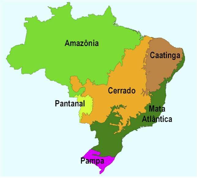 Apresente o mapa dos principal biomas.