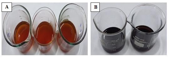 Figura 1. (A) Mel normal sem adulteração; (B) Mel adulterado (identificado através da reação de lugol).