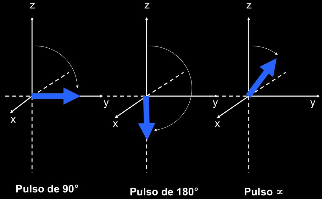 23 depende da amplitude de B 1 e do tempo de aplicação do pulso, podendo ser suficiente para conduzir M z ao plano transversal (pulso de RF de 90 ), inverter a magnetização (pulso de RF de 180 ) ou