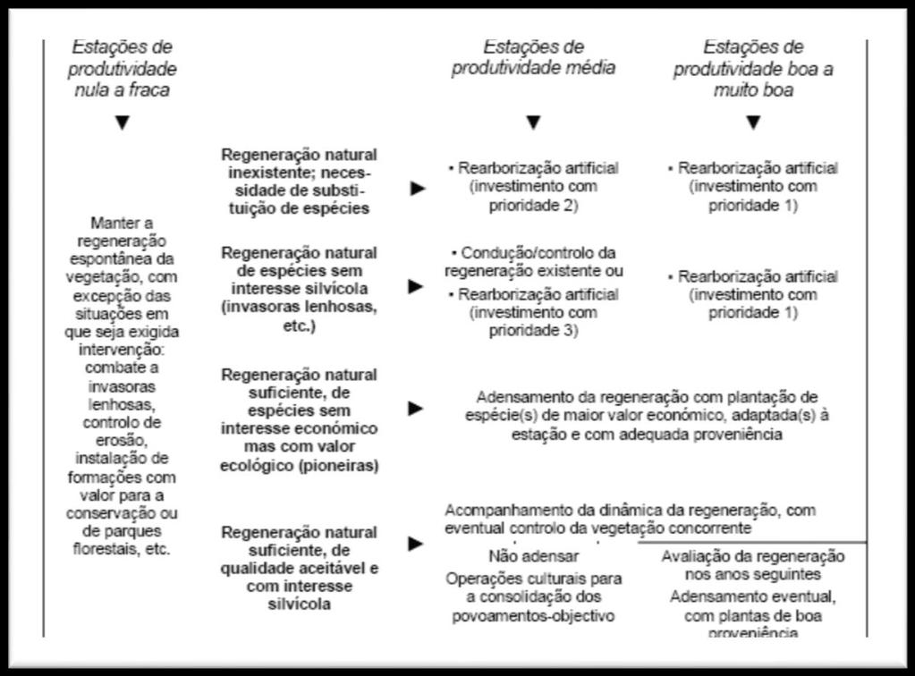 Figura 25 - Critérios para as intervenções na recuperação de áreas ardidas (Fonte: Orientações Estratégicas para a Recuperação de Áreas Ardidas) No caso de ocorrência de incêndios cada proprietário