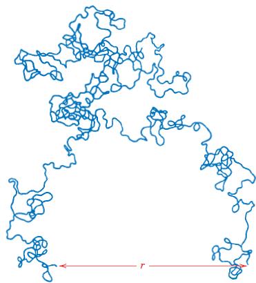 Estrutura dos Polímeros Moléculas Forma Molecular Normalmente as cadeias poliméricas são representadas linearmente, negligenciando o