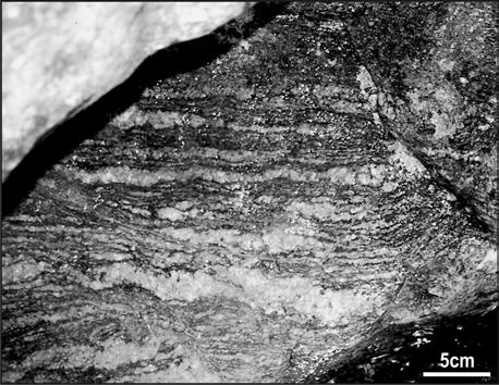 evento (D2) é representado por uma deformação milonítica caracterizada pela ocorrência de quartzo fitado, micafish em biotita e porfiroclastos de K- feldspato tipo augen, onde é possível observar