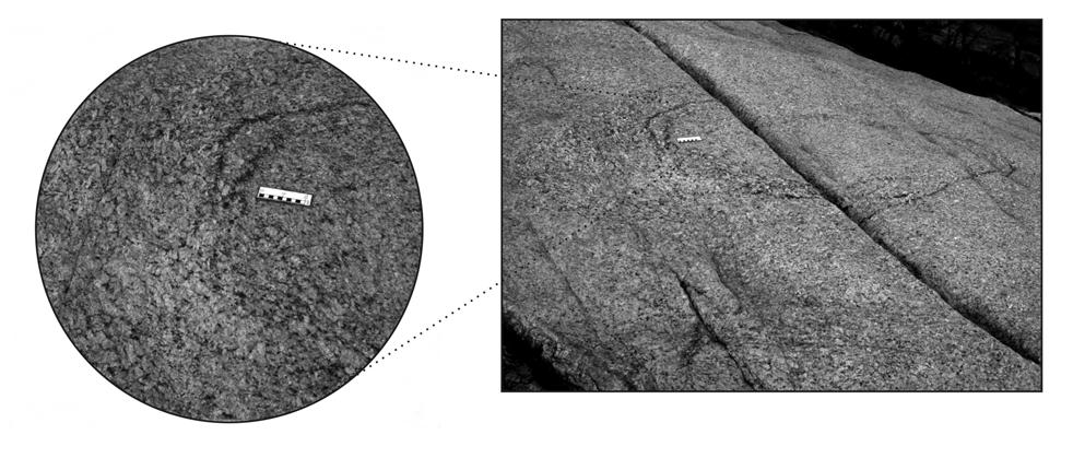 Figura 6 - Seção transversal de uma feição tubular subvertical resultante de fluxo no Granito Paulo Lopes.