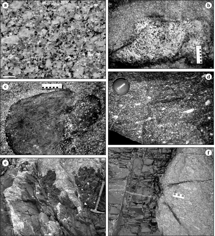 parcialmente transformado em hornblenda e biotita. A mineralogia acessória dos Granitóides Garopaba é idêntica à do GPL, exceto pela presença de titanita euédrica.