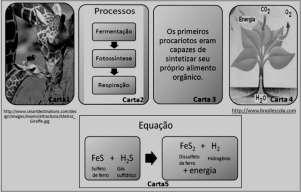 A origem e a manutenção da vida na Terra estão diretamente associadas às substâncias químicas presentes nos diversos ambientes que compõem o Planeta.