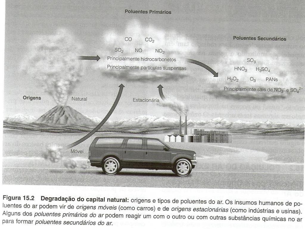 POLUIÇÃO DO