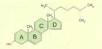 Esteróis Consistem principalmente em vários anéis de átomos de carbono ligados entre si. Uma molécula de esterol é altamente apolar.