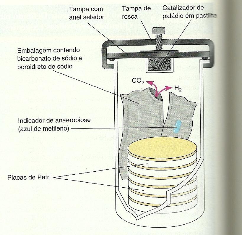 Meios de Cultura Meios Redutores meios com reagentes, como o tioglicolato de sódio, que é capaz de se combinar com o oxigênio