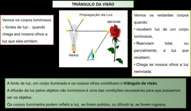 Reflexão da luz Quando a luz